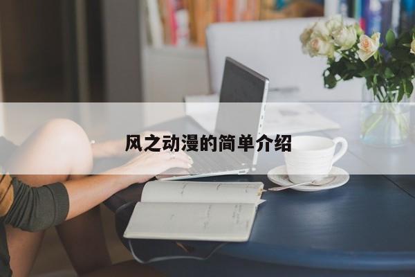 风之动漫的简单介绍