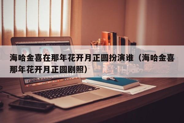 海哈金喜在那年花开月正圆扮演谁（海哈金喜那年花开月正圆剧照）