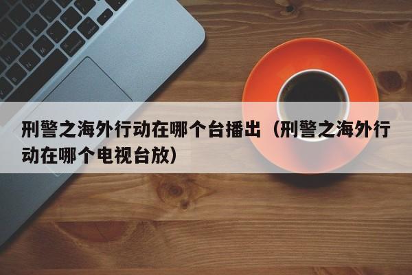 刑警之海外行动在哪个台播出（刑警之海外行动在哪个电视台放）