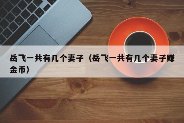 岳飞一共有几个妻子（岳飞一共有几个妻子赚金币）