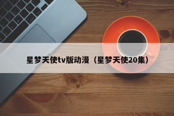 星梦天使tv版动漫（星梦天使20集）