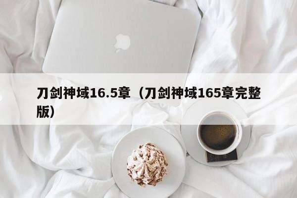 刀剑神域16.5章（刀剑神域165章完整版）