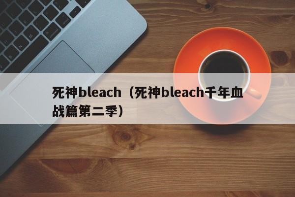 死神bleach（死神bleach千年血战篇第二季）