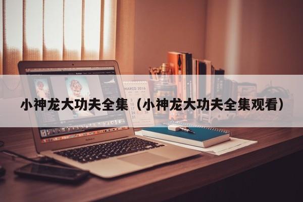 小神龙大功夫全集（小神龙大功夫全集观看）
