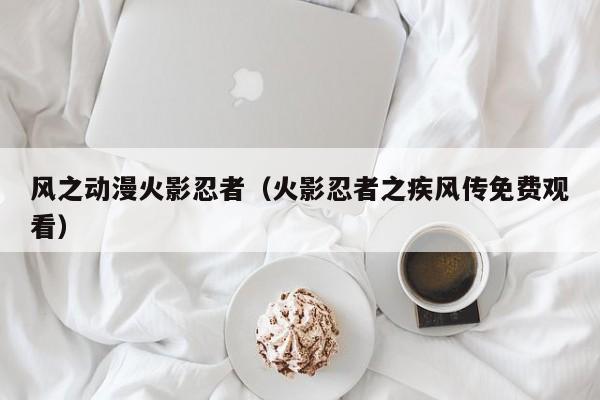 风之动漫火影忍者（火影忍者之疾风传免费观看）