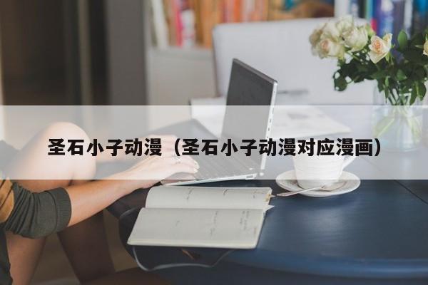 圣石小子动漫（圣石小子动漫对应漫画）