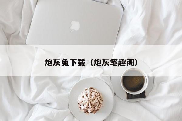炮灰兔下载（炮灰笔趣阁）