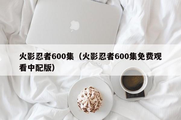 火影忍者600集（火影忍者600集免费观看中配版）