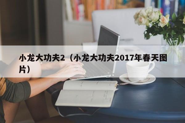 小龙大功夫2（小龙大功夫2017年春天图片）