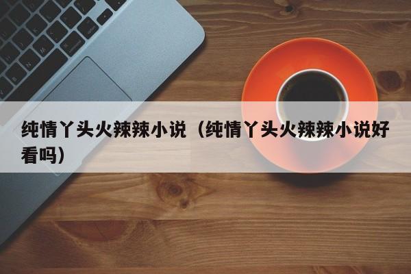 纯情丫头火辣辣小说（纯情丫头火辣辣小说好看吗）