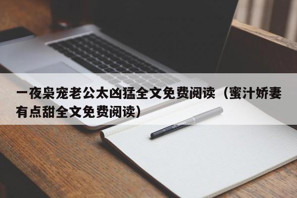 一夜枭宠老公太凶猛全文免费阅读（蜜汁娇妻有点甜全文免费阅读）
