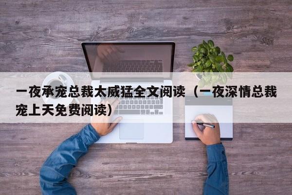 一夜承宠总裁太威猛全文阅读（一夜深情总裁宠上天免费阅读）