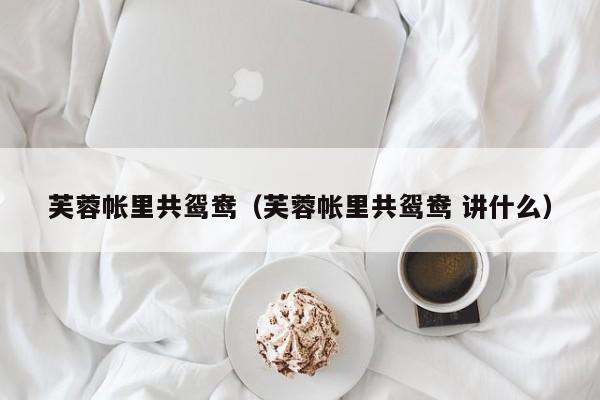 芙蓉帐里共鸳鸯（芙蓉帐里共鸳鸯 讲什么）
