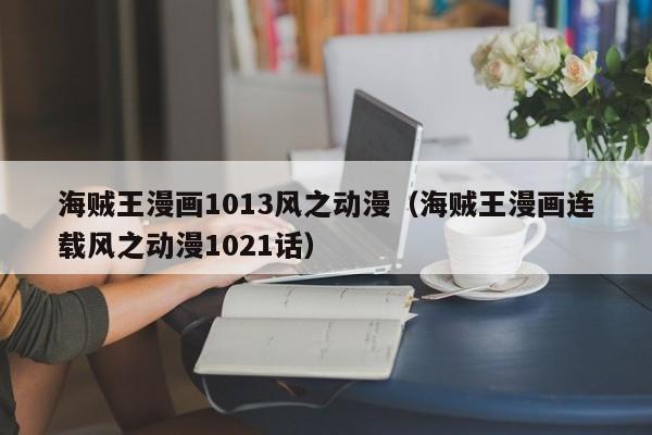 海贼王漫画1013风之动漫（海贼王漫画连载风之动漫1021话）
