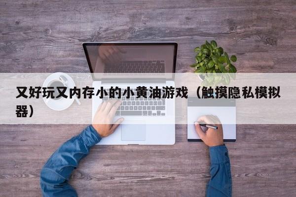 又好玩又内存小的小黄油游戏（触摸隐私模拟器）