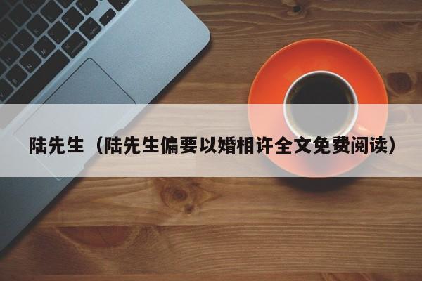 陆先生（陆先生偏要以婚相许全文免费阅读）