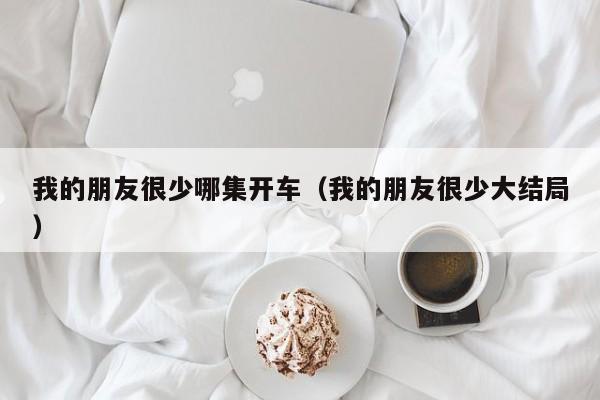 我的朋友很少哪集开车（我的朋友很少大结局）