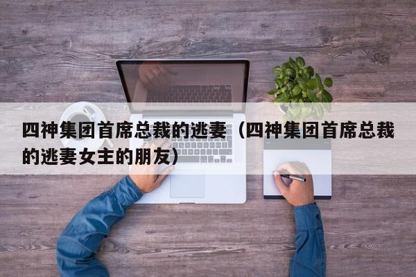 四神集团首席总裁的逃妻（四神集团首席总裁的逃妻女主的朋友）