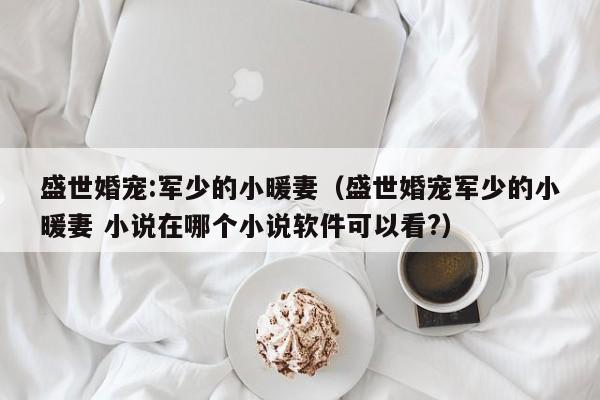 盛世婚宠:军少的小暖妻（盛世婚宠军少的小暖妻 小说在哪个小说软件可以看?）