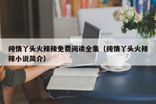 纯情丫头火辣辣免费阅读全集（纯情丫头火辣辣小说简介）