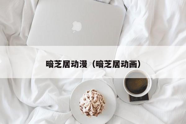 暗芝居动漫（暗芝居动画）