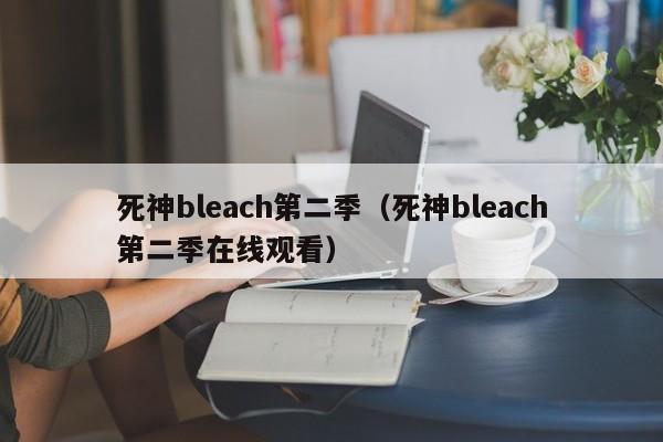 死神bleach第二季（死神bleach第二季在线观看）