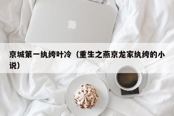 京城第一纨绔叶冷（重生之燕京龙家纨绔的小说）