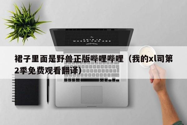 裙子里面是野兽正版哔哩哔哩（我的xl司第2季免费观看翻译）