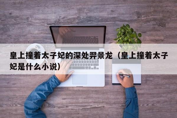 皇上撞着太子妃的深处羿景龙（皇上撞着太子妃是什么小说）