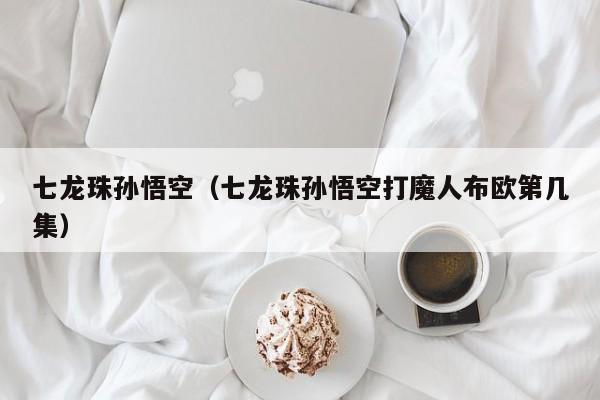 七龙珠孙悟空（七龙珠孙悟空打魔人布欧第几集）