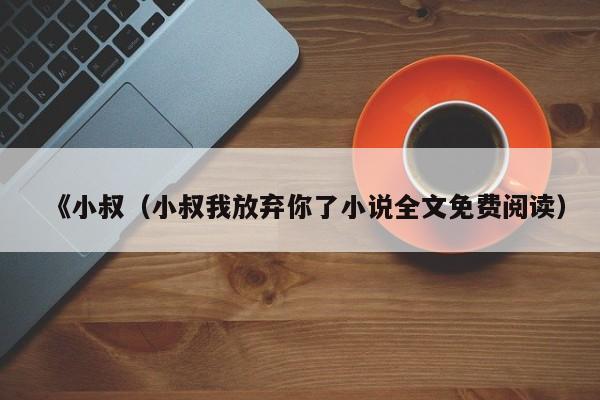 《小叔（小叔我放弃你了小说全文免费阅读）