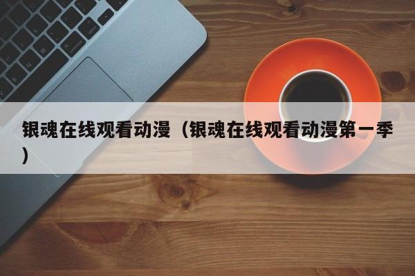 银魂在线观看动漫（银魂在线观看动漫第一季）
