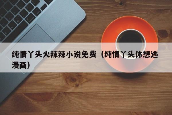 纯情丫头火辣辣小说免费（纯情丫头休想逃 漫画）