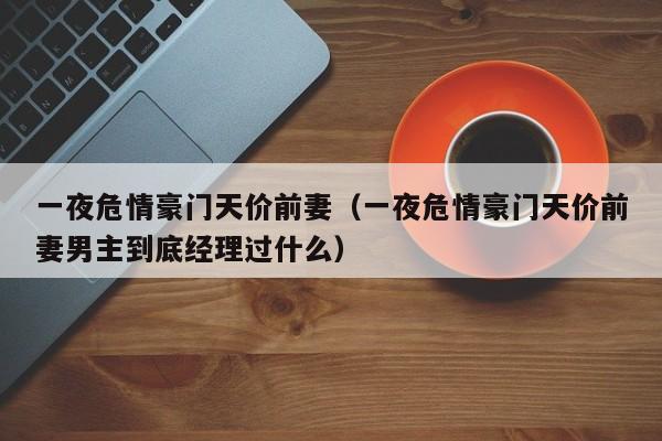 一夜危情豪门天价前妻（一夜危情豪门天价前妻男主到底经理过什么）