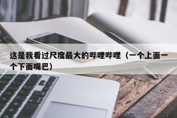 这是我看过尺度最大的哔哩哔哩（一个上面一个下面嘴巴）