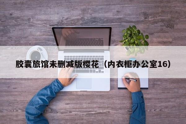 胶囊旅馆未删减版樱花（内衣柜办公室16）