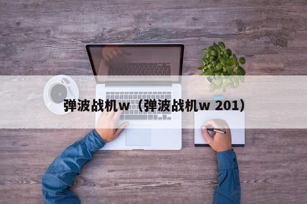 弹波战机w（弹波战机w 201）