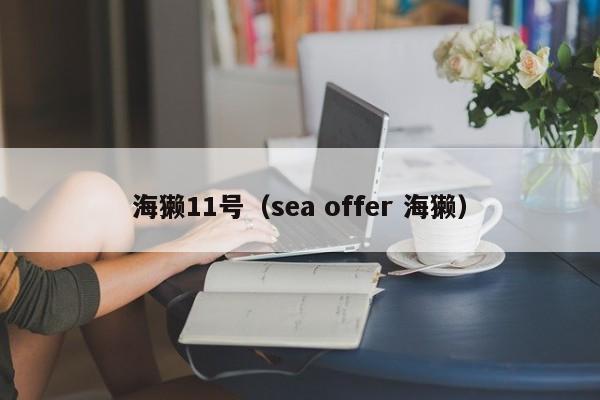 海獭11号（sea offer 海獭）